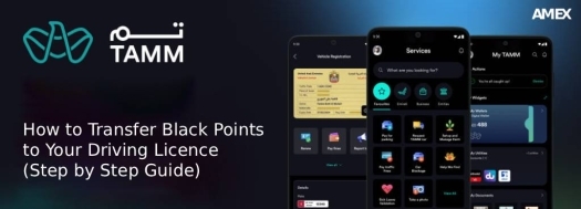How to Transfer Black Points to Your Driving Licence (Step by Step Guide) - Amex Car Rental
